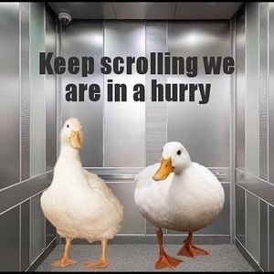 Meet your Posher, Andrew